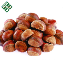 Shandong raw fresh chestnut from china